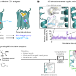 慢性疼痛治療のための新薬開発(NIH-funded research team engineers new drug targeting pain sensation pathway)