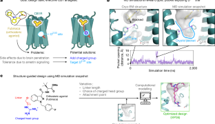 慢性疼痛治療のための新薬開発(NIH-funded research team engineers new drug targeting pain sensation pathway)