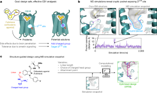 慢性疼痛治療のための新薬開発(NIH-funded research team engineers new drug targeting pain sensation pathway)