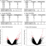 妊娠中の子癇前症のエピジェネティックバイオマーカーの可能性が発見される(Potential epigenetic biomarker found for preeclampsia in pregnancy)