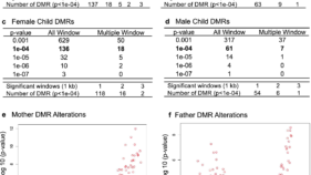 妊娠中の子癇前症のエピジェネティックバイオマーカーの可能性が発見される(Potential epigenetic biomarker found for preeclampsia in pregnancy)