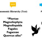 生態系研究を支援するマルチモーダルAIツール (Multimodal AI Tool Supports Study of Ecosystems)