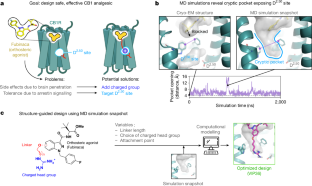 慢性疼痛治療のための新薬開発(NIH-funded research team engineers new drug targeting pain sensation pathway) 慢性疼痛治療のための新薬開発(NIH-funded research team engineers new drug targeting pain sensation pathway)