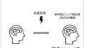 ADHDの子どもにおけるトゥレット症の発症に炎症が関与する可能性～トゥレット症のリスクを予測する新たな生体指標の手がかり～