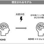 ADHDの子どもにおけるトゥレット症の発症に炎症が関与する可能性～トゥレット症のリスクを予測する新たな生体指標の手がかり～