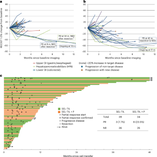 新しいTIL療法が転移性消化管がんに効果を示す(Combination immunotherapy shrank a variety of metastatic gastrointestinal cancers)