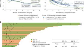 新しいTIL療法が転移性消化管がんに効果を示す(Combination immunotherapy shrank a variety of metastatic gastrointestinal cancers)