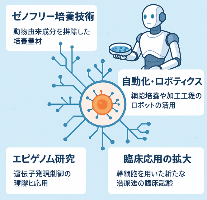 再生医療に関する最新の技術情報の概要とトレンド及び課題について(2025-04-24)