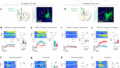 勝利体験が脳のドーパミン系を再構築し薬物依存行動を抑制(Winning Experiences Reduce Drug-seeking Behavior by Reshaping Brain’s Dopamine System)