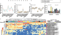 タンパク質源が腸内細菌叢に与える影響(Protein Sources Change the Gut Microbiome – Some Drastically)
