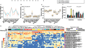タンパク質源が腸内細菌叢に与える影響(Protein Sources Change the Gut Microbiome – Some Drastically)