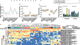 タンパク質源が腸内細菌叢に与える影響(Protein Sources Change the Gut Microbiome – Some Drastically)
