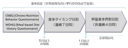 時間栄養学の視点からみた食行動～食事の質および肥満との関連～