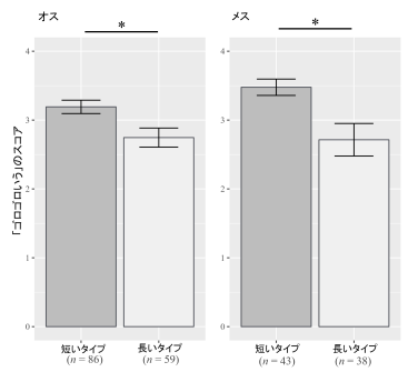 ネコがどれぐらい「ゴロゴロいう」かは遺伝子も関わる?～ネコのアンドロゲン受容体遺伝子と行動特性の関連を研究～