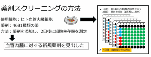 頭部皮膚がんに対する新たな治療戦略～薬剤スクリーニングによる新規治療法開発～