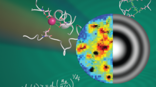 ホログラフィック精密計測で細胞内構造を可視化(Holographic Precision, Super-Resolution Vision: Scientists Reveal the Hidden World of Vital Cellular Structures)