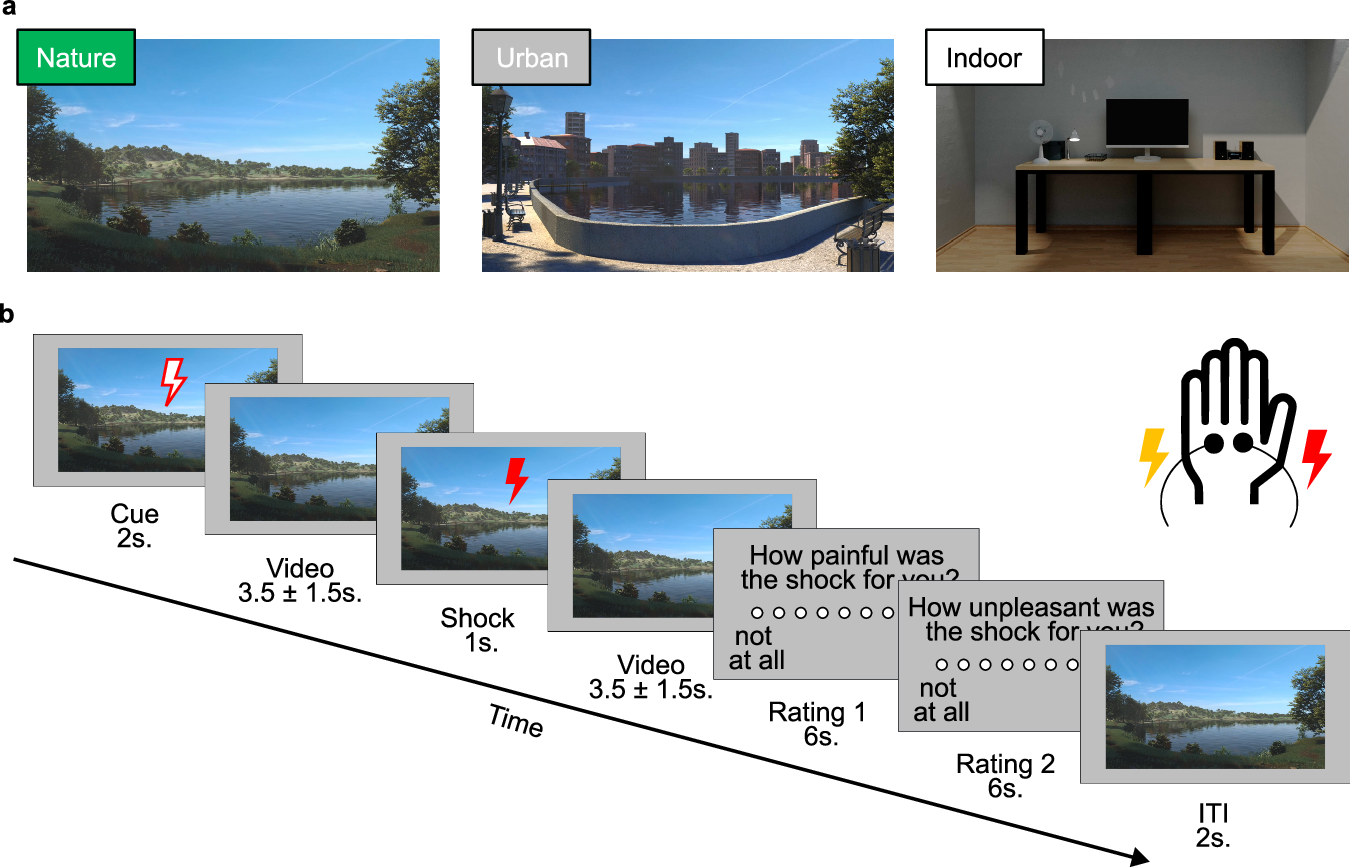 VR森林浴がストレス軽減に効果(Virtual forest bathing alleviates stress)