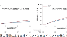 経カテーテル大動脈弁置換術を受けた心房細動を有する患者における、術後抗凝固薬 の選択:全国大規模データベースを用いた研究