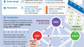 断続的断食が伝統的なダイエットと同等の減量効果を示す研究(Intermittent fasting as effective for weight loss as traditional dieting: Study)
