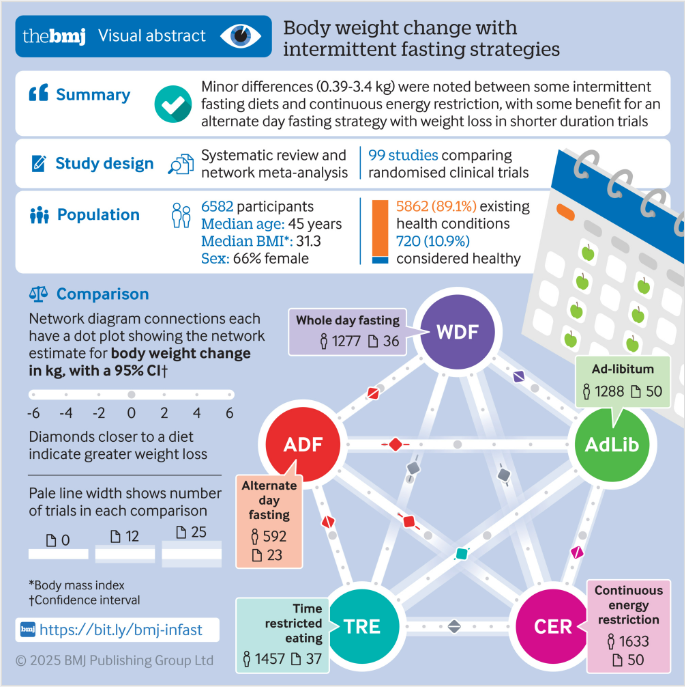 断続的断食が伝統的なダイエットと同等の減量効果を示す研究(Intermittent fasting as effective for weight loss as traditional dieting: Study)