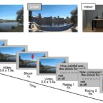 VR森林浴がストレス軽減に効果(Virtual forest bathing alleviates stress)