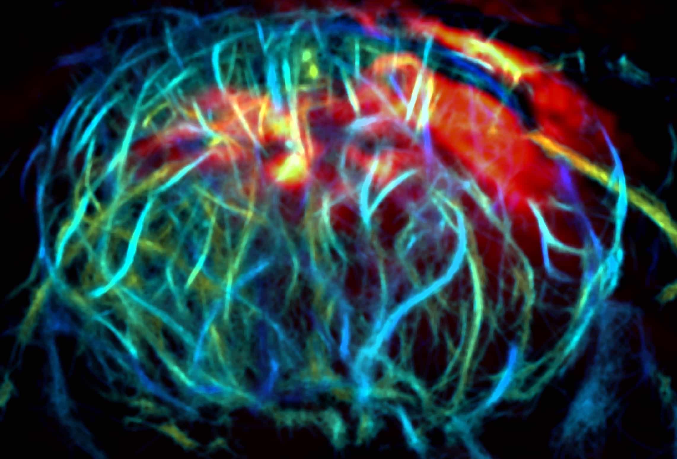 深部組織イメージング用の光感受性分子を開発(Light-Sensitive Molecule Allows Researchers to Visualize and Manipulate Cells in Deep Tissues)