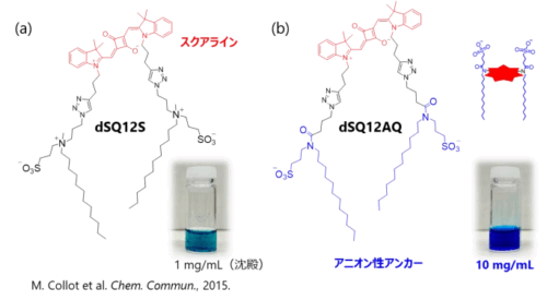 生きたマウス体内の細胞を高精細に可視化する新規蛍光細胞膜プローブを開発～疾患の検出、病態解明、創薬研究への応用に期待～