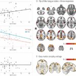 高齢になっても健康でいることは、適切な言葉を見つけるのに役立つ脳領域をサポートする(Being fit in older age supports brain regions that help you reach for right words)