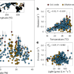 海洋温暖化が重要な海洋微生物を脅かす(Ocean warming puts vital marine microbe at risk)