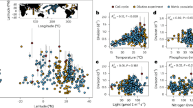 海洋温暖化が重要な海洋微生物を脅かす(Ocean warming puts vital marine microbe at risk)