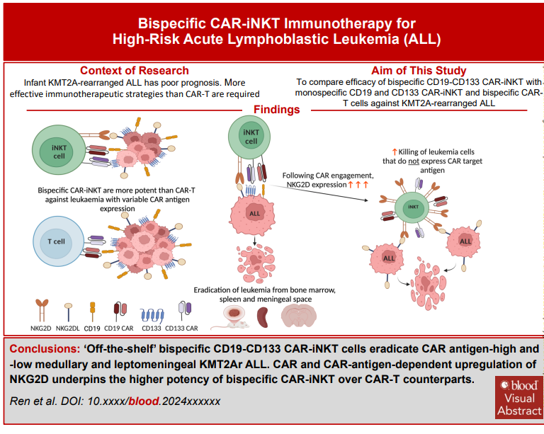 新たな「棚から取り出せる」免疫療法が小児白血病治療に有望(New ‘off-the-shelf’ immunotherapy shows promise for treating high-risk childhood leukaemia)