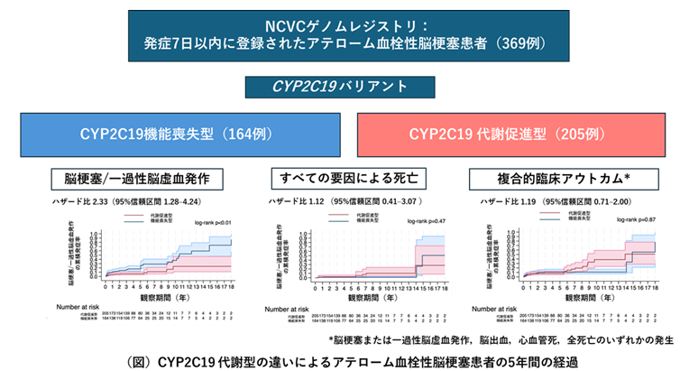 患者の「薬物代謝酵素」を知ることが、患者にあった薬の選択への近道に ― 脳梗塞再発のリスク軽減へ前進 ― ～ 遺伝子バリアントが薬効や副作用の発現に個人差をもたらしていた ～