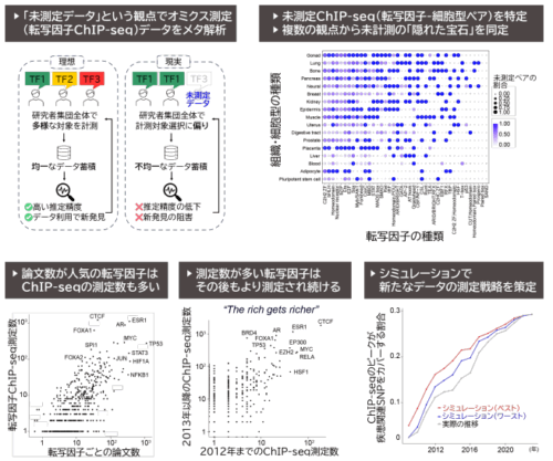 ヒト転写因子データの未測定範囲を体系化し研究戦略を提示