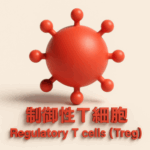 ノーベル医学生理学賞受賞・坂口志文教授ゆかりの研究4選