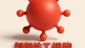 ノーベル医学生理学賞受賞・坂口志文教授ゆかりの研究4選