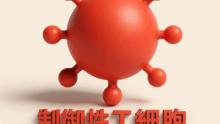 ノーベル医学生理学賞受賞・坂口志文教授ゆかりの研究4選