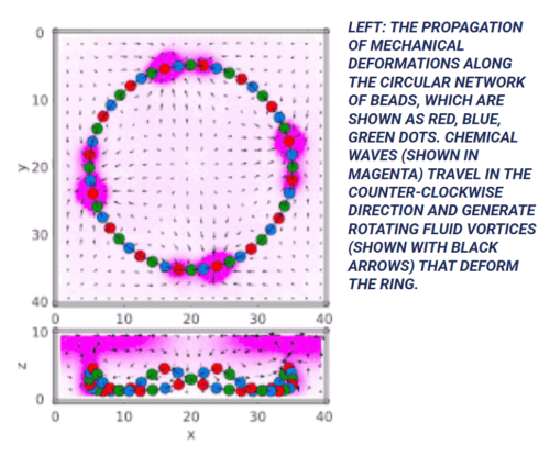 神経系のように動作する化学ネットワークを発見(Hitting a Nerve)
