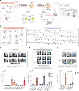 ナノ粒子でmRNAワクチン送達を向上、新しい低用量ワクチン設計を実現(New nanoparticles enhance mRNA delivery could reduce vaccine dosage and costs