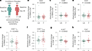 ザクロ由来化合物が免疫老化を逆転―新たな免疫強化法(Pomegranate-Derived Compound Strengthens Immune Defense)