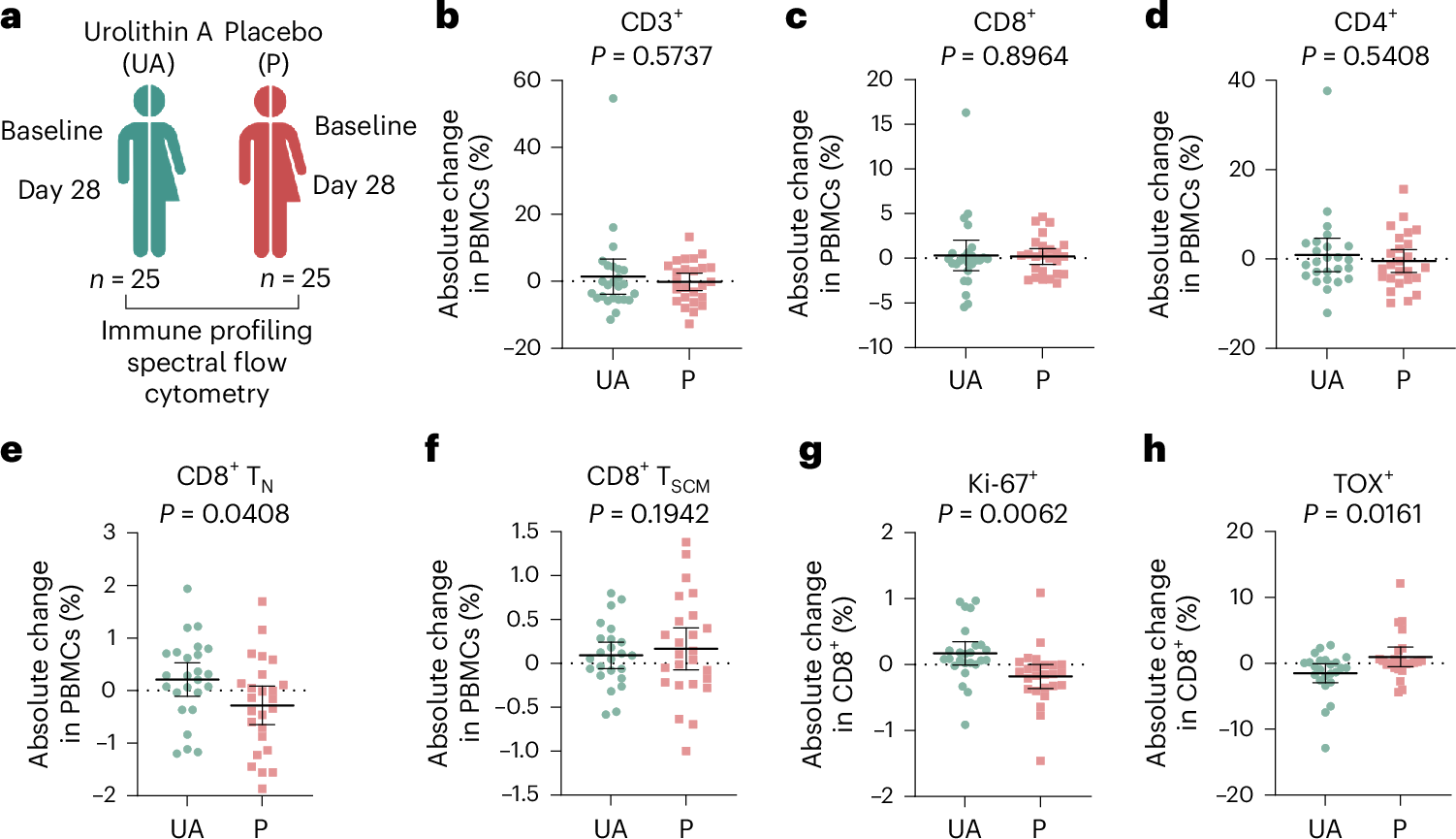 ザクロ由来化合物が免疫老化を逆転―新たな免疫強化法(Pomegranate-Derived Compound Strengthens Immune Defense)