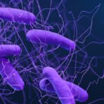 薬剤耐性菌を数時間で破壊する新ナノゲル技術(New nanogel technology destroys drug-resistant bacteria in hours) 薬剤耐性菌を数時間で破壊する新ナノゲル技術(New nanogel technology destroys drug-resistant bacteria in hours)