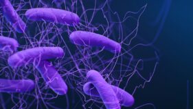 薬剤耐性菌を数時間で破壊する新ナノゲル技術(New nanogel technology destroys drug-resistant bacteria in hours)