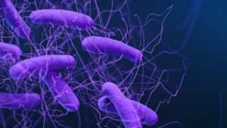 薬剤耐性菌を数時間で破壊する新ナノゲル技術(New nanogel technology destroys drug-resistant bacteria in hours)