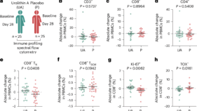 ザクロ由来化合物が免疫老化を逆転―新たな免疫強化法(Pomegranate-Derived Compound Strengthens Immune Defense)