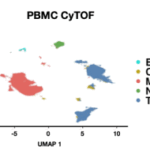 CAR-T療法後にがん再発しない多発性骨髄腫患者の特徴を解明(Mount Sinai Study Reveals Why Some Myeloma Patients Stay Cancer-Free for Years After CAR T Therapy)
