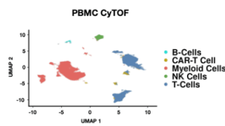 CAR-T療法後にがん再発しない多発性骨髄腫患者の特徴を解明(Mount Sinai Study Reveals Why Some Myeloma Patients Stay Cancer-Free for Years After CAR T Therapy)