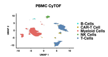 CAR-T療法後にがん再発しない多発性骨髄腫患者の特徴を解明(Mount Sinai Study Reveals Why Some Myeloma Patients Stay Cancer-Free for Years After CAR T Therapy)
