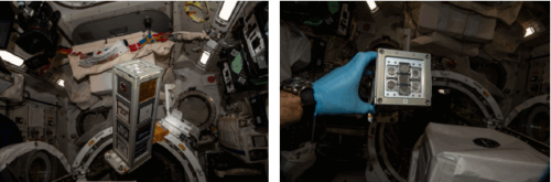 コケの胞子、宇宙でも生き延びる～持続可能な宇宙居住への第一歩～