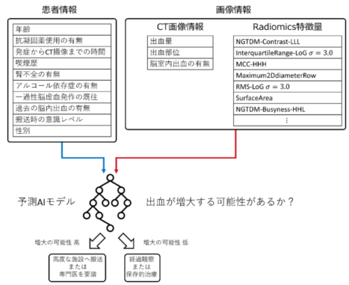 急性期脳内出血患者の血腫増大予測AIモデルを開発～脳神経外科専門医不在状況下における標準的な治療方針選択の支援を目指す～