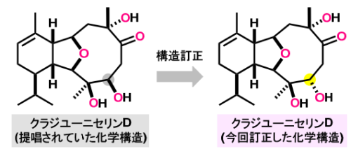 12種のクラジエリン類の網羅的全合成～多数の複雑天然物の全合成によって創薬研究の可能性を広げる～
